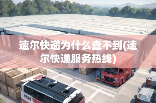速爾快遞為什么查不到(速爾快遞服務(wù)熱線(xiàn))