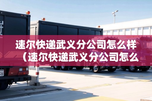 速爾快遞武義分公司怎么樣（速爾快遞武義分公司怎么樣?。? title=