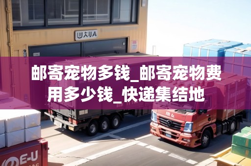 郵寄寵物多錢_郵寄寵物費用多少錢_快遞集結地