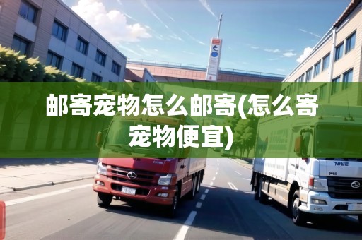 郵寄寵物怎么郵寄(怎么寄寵物便宜)