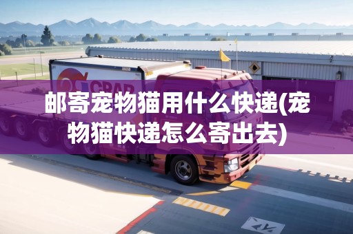 郵寄寵物貓用什么快遞(寵物貓快遞怎么寄出去)