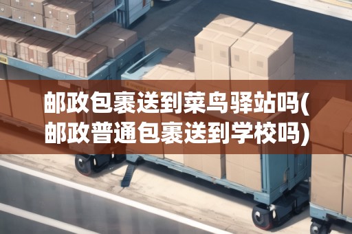 郵政包裹送到菜鳥驛站嗎(郵政普通包裹送到學(xué)校嗎)