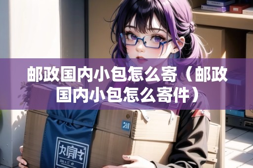 郵政國內小包怎么寄（郵政國內小包怎么寄件）