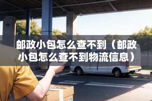 郵政小包怎么查不到（郵政小包怎么查不到物流信息）