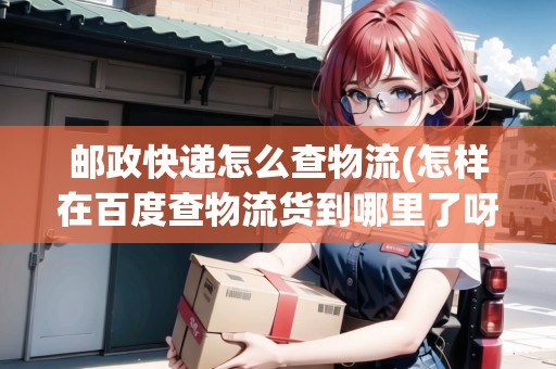 郵政快遞怎么查物流(怎樣在百度查物流貨到哪里了呀)
