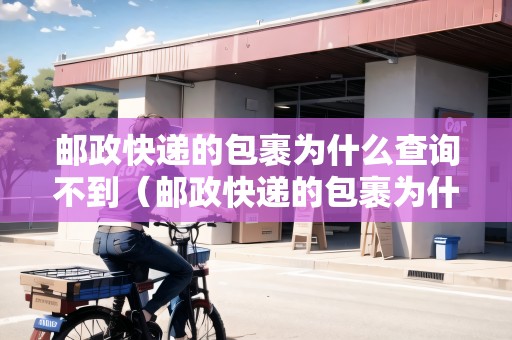 郵政快遞的包裹為什么查詢不到（郵政快遞的包裹為什么查詢不到物流信息）