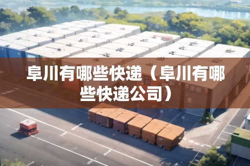 阜川有哪些快遞（阜川有哪些快遞公司）
