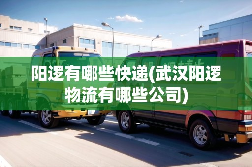 陽邏有哪些快遞(武漢陽邏物流有哪些公司) 陽邏有哪些快遞(武漢陽邏物流有哪些公司)