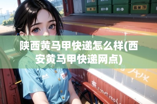 陜西黃馬甲快遞怎么樣(西安黃馬甲快遞網(wǎng)點(diǎn))