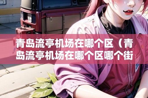 青島流亭機(jī)場(chǎng)在哪個(gè)區(qū)（青島流亭機(jī)場(chǎng)在哪個(gè)區(qū)哪個(gè)街道）