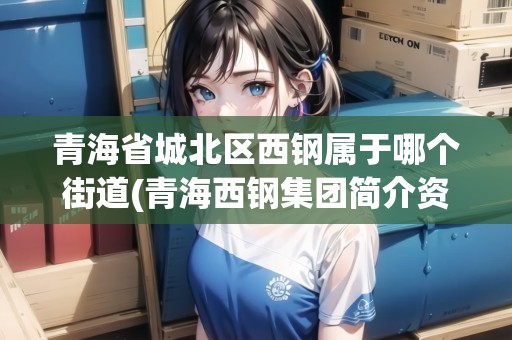 青海省城北區(qū)西鋼屬于哪個街道(青海西鋼集團(tuán)簡介資料) 青海省城北區(qū)西鋼屬于哪個街道(青海西鋼集團(tuán)簡介資料)