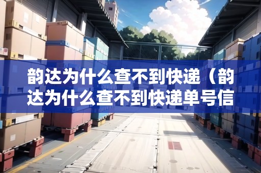 韻達(dá)為什么查不到快遞（韻達(dá)為什么查不到快遞單號信息）