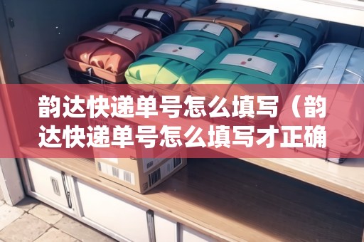 韻達(dá)快遞單號(hào)怎么填寫（韻達(dá)快遞單號(hào)怎么填寫才正確）