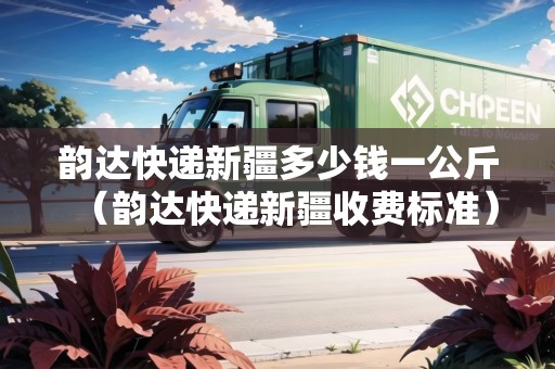 韻達(dá)快遞新疆多少錢一公斤（韻達(dá)快遞新疆收費(fèi)標(biāo)準(zhǔn)）
