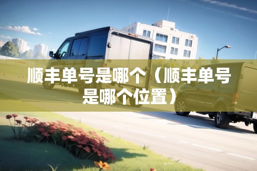 順豐單號(hào)是哪個(gè)（順豐單號(hào)是哪個(gè)位置）