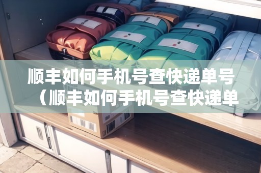 順豐如何手機(jī)號(hào)查快遞單號(hào)（順豐如何手機(jī)號(hào)查快遞單號(hào)查詢）