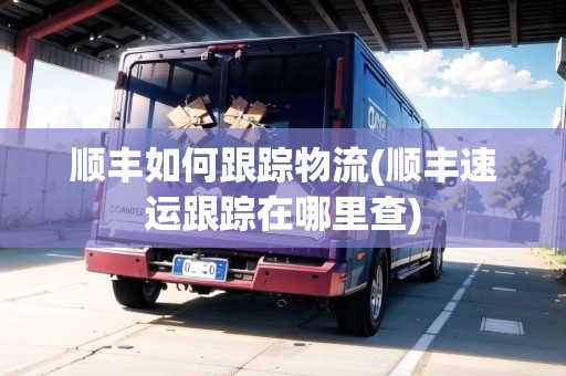 順豐如何跟蹤物流(順豐速運(yùn)跟蹤在哪里查)