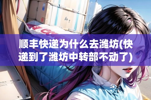 順豐快遞為什么去濰坊(快遞到了濰坊中轉(zhuǎn)部不動(dòng)了) 順豐快遞為什么去濰坊(快遞到了濰坊中轉(zhuǎn)部不動(dòng)了)