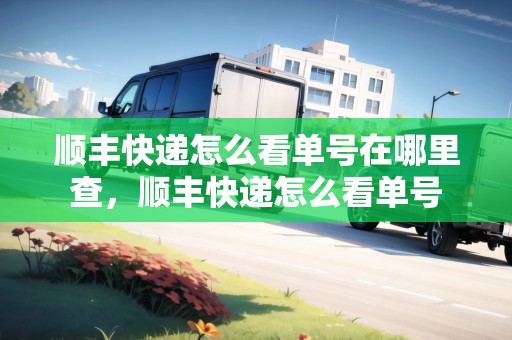 順豐快遞怎么看單號在哪里查，順豐快遞怎么看單號