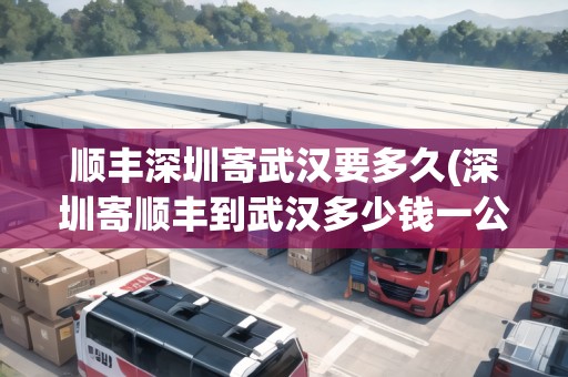 順豐深圳寄武漢要多久(深圳寄順豐到武漢多少錢一公斤)