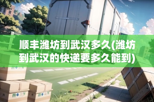 順豐濰坊到武漢多久(濰坊到武漢的快遞要多久能到)