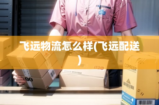飛遠(yuǎn)物流怎么樣(飛遠(yuǎn)配送)