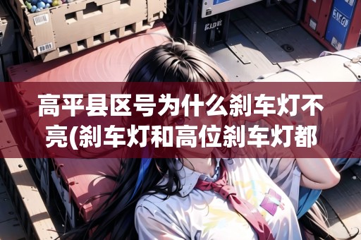 高平縣區(qū)號(hào)為什么剎車(chē)燈不亮(剎車(chē)燈和高位剎車(chē)燈都不亮了)