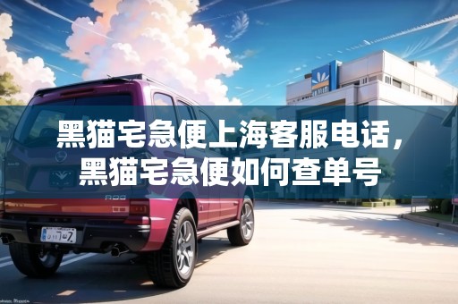 黑貓宅急便上?？头娫?，黑貓宅急便如何查單號(hào)