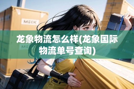 龍象物流怎么樣(龍象國際物流單號查詢)