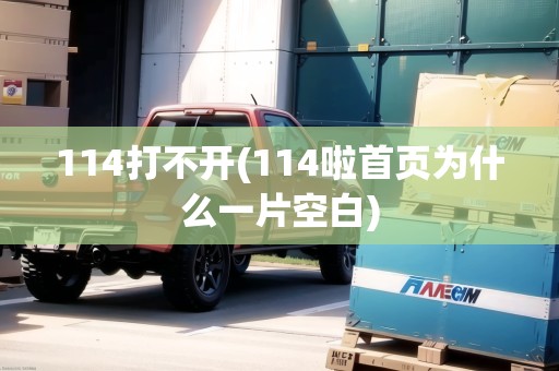 114打不開(114啦首頁為什么一片空白)