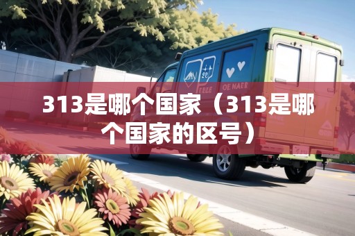 313是哪個國家（313是哪個國家的區(qū)號）