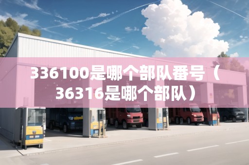336100是哪個(gè)部隊(duì)番號(hào)（36316是哪個(gè)部隊(duì)）