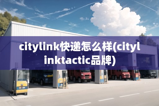 citylink快遞怎么樣(citylinktactic品牌)