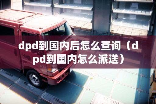 dpd到國(guó)內(nèi)后怎么查詢（dpd到國(guó)內(nèi)怎么派送）