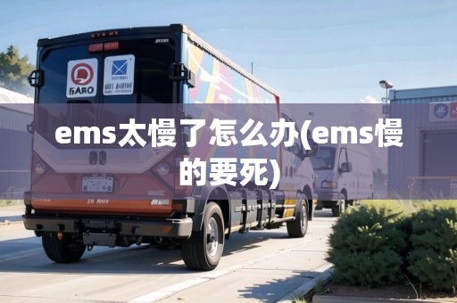 ems太慢了怎么辦(ems慢的要死)