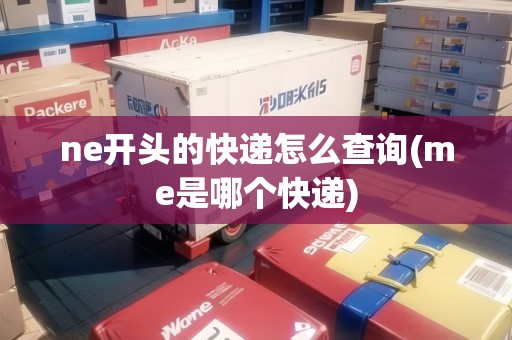ne開頭的快遞怎么查詢(me是哪個快遞)