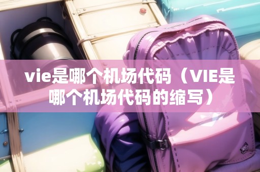 vie是哪個(gè)機(jī)場(chǎng)代碼（VIE是哪個(gè)機(jī)場(chǎng)代碼的縮寫(xiě)）