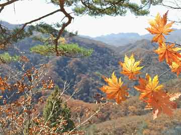 全面指南：國(guó)內(nèi)與國(guó)際寄件方法詳解